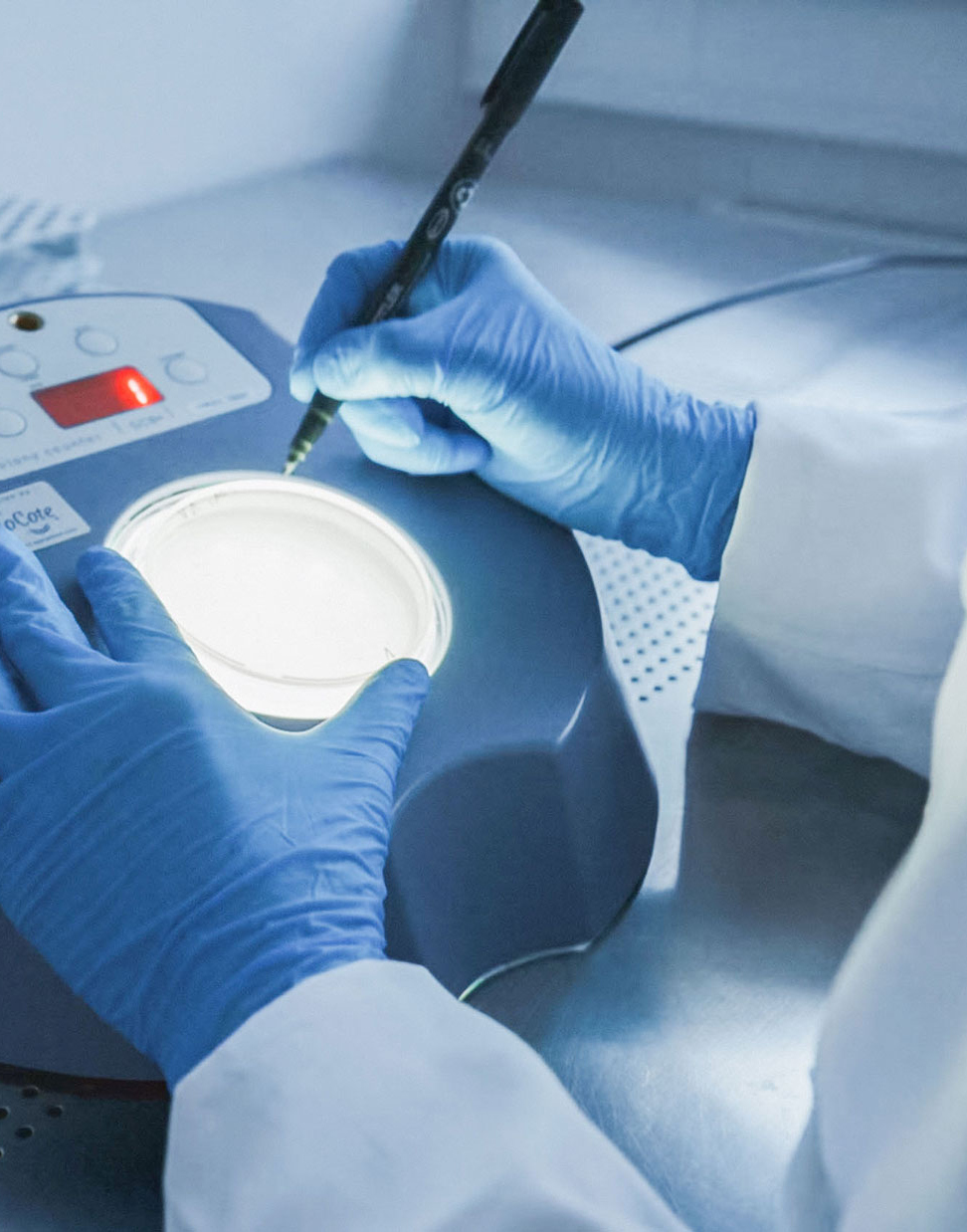 Labor-Arbeiten für die EO-Serilisation bei HA2