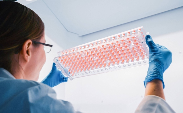 Laborarbeiten bei HA2 in Halberstadt