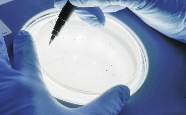 Sterilisationsprüfung im Labor von HA2 in Sachsen-Anhalt